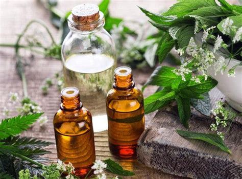 lucky lottery oil recipe|Hoodoo Oils: Recipes for Love, Money, Protection, .